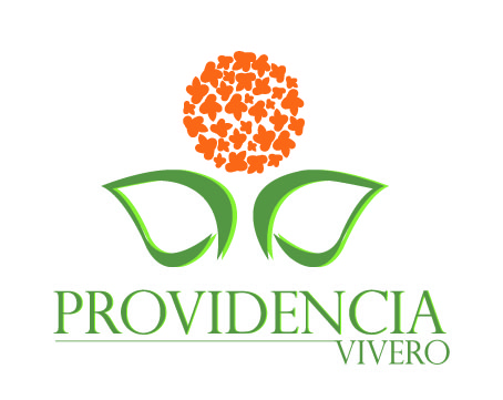 ViveroProvidencia